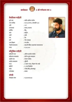 Red Velvet biodata template